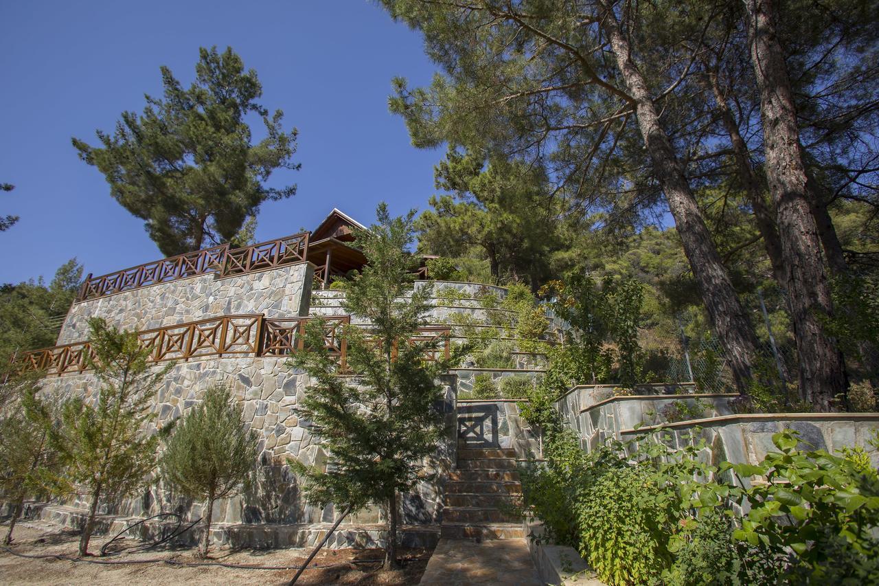 Ricky Chalet Near Troodos Spilia Exterior photo