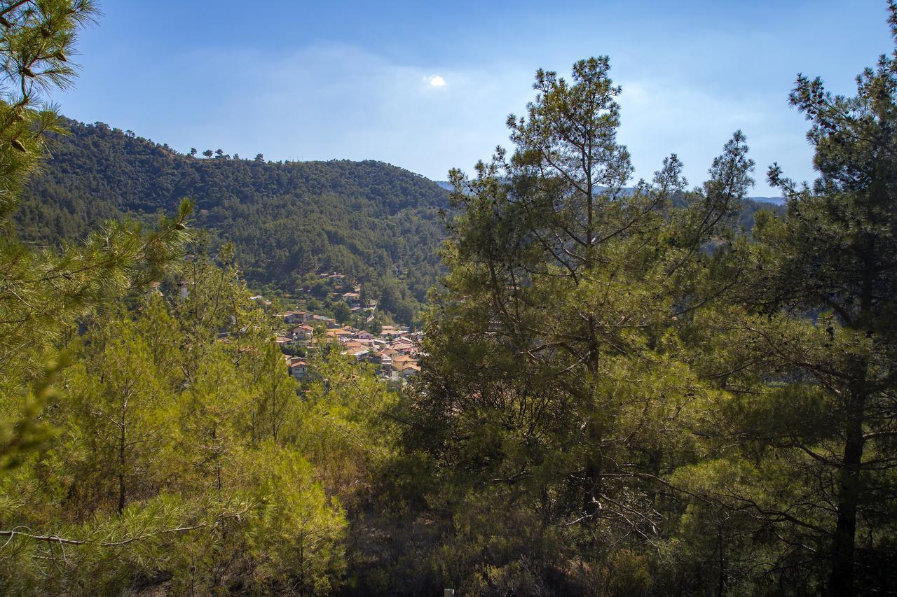 Ricky Chalet Near Troodos Spilia Exterior photo